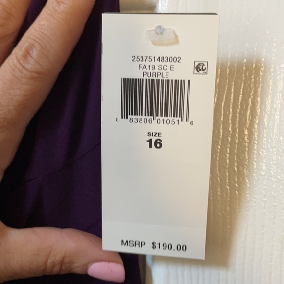 BNWT Lauren Ralph Lauren gown - Picture 4 of 7